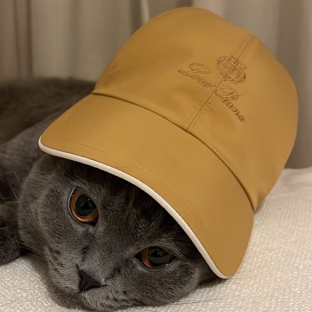 Designer Logo Baseball Cap